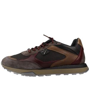 Cetti Schoenen ,Zwart ,Leer Inv 27 Deportivo - Bruin