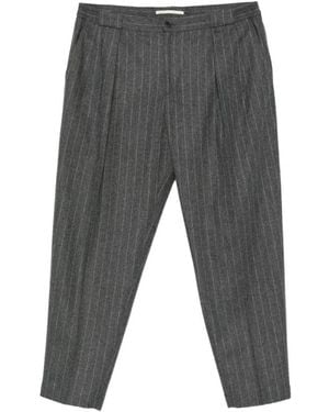 BRIGLIA Suit Pants - Gray