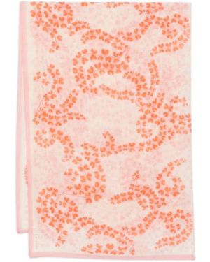 Lanvin Scarves - Rosa