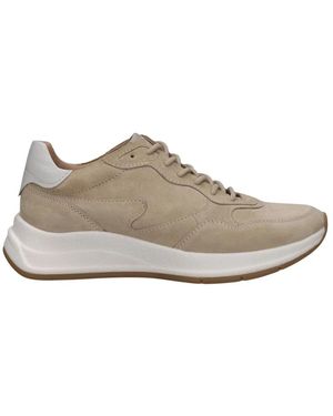 Salamander Sneakers - Gris