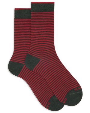 Gallo Windsor Short Socks - Rood