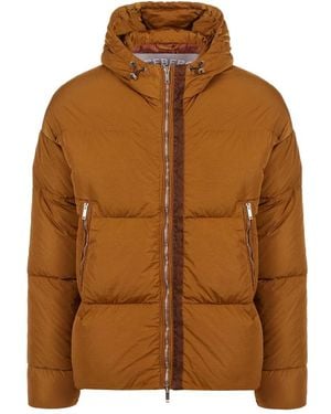 Iceberg Urban Warmth Daunenjacke - Braun