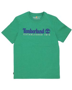 Timberland Tops ,Groen ,Katoen Vintage Est 1973 Celtic Tee