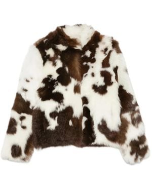 Simonetta Ravizza Pea R - Bruin