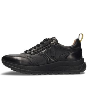 Salamander Sneakers - Negro
