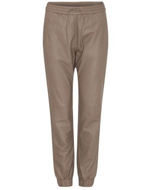 Notyz Joggers - Brown