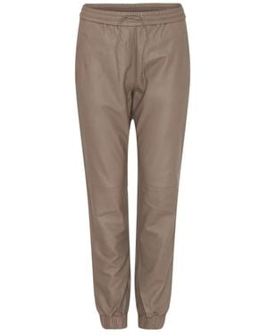 Notyz Sweatpants - Brown