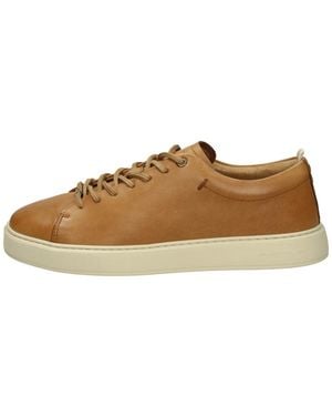 Ambitious Sneakers - Brown