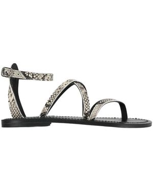 K. Jacques Flat Sandals - Grey