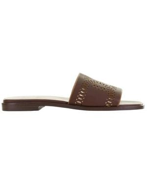 Tod's Sliders - Bruin