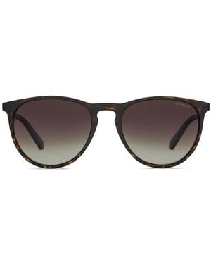 Polaroid Sunglasses - Marrón