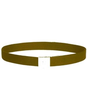 Celine Belts - Verde