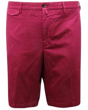 PT01 Casual Shorts - Red