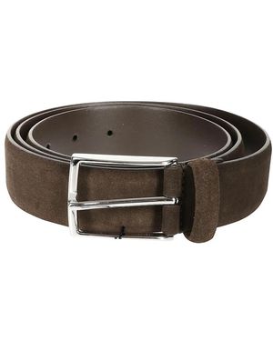 Anderson's Belts - Bruin