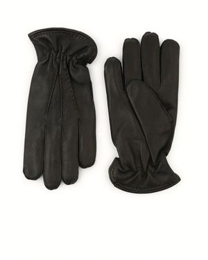 Orciani Gloves - Negro