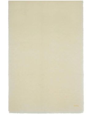 Max Mara Winter Scarves - Neutre
