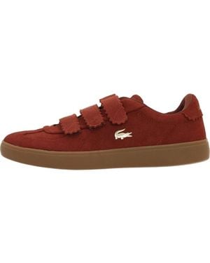 Lacoste Sneakers - Marrone
