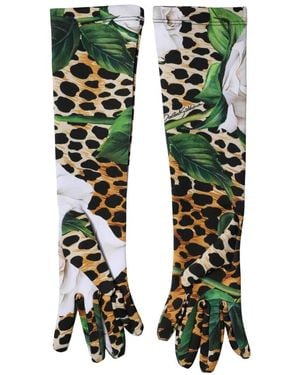 Dolce & Gabbana Gloves - Green