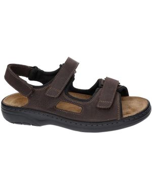 SOLIDUS Special 78059-00602 - Braun