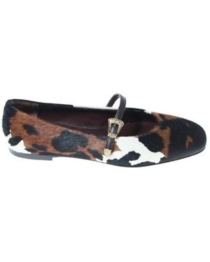 Roberto Festa Ballerina Shoes - Black