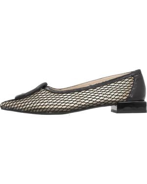 Dibia Ballerinas - Bruin