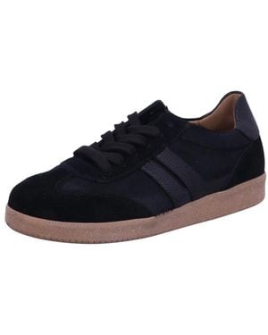 Gabor Sneaker Low - Blau