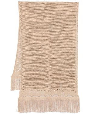 Ermanno Scervino Scarves - Neutre