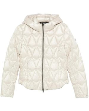 Moose Knuckles Winter Jackets - Neutro
