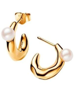 PANDORA Earrings - Metálico