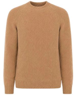 Laneus Round-Neck Knitwear - Brown