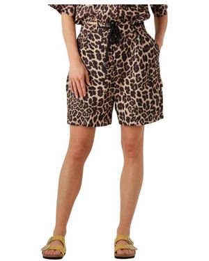 Copenhagen Muse Short Shorts - Bruin