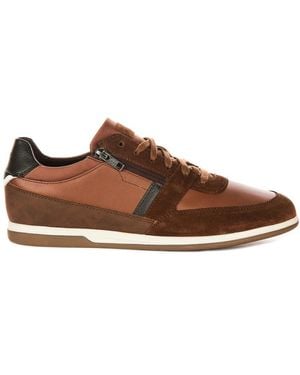 Geox Trainers - Brown
