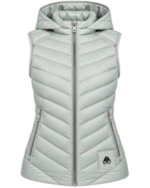 Moose Knuckles Vests - Grigio