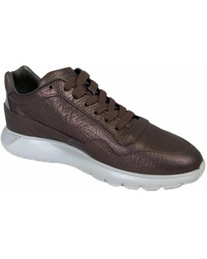 Hogan Trainers - Brown