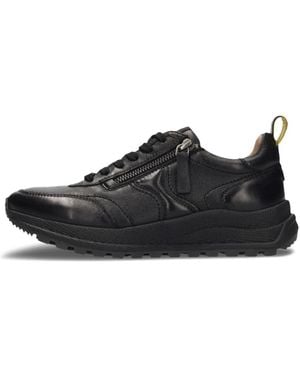Salamander Trainers - Black