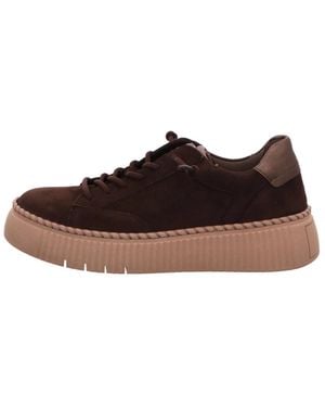 Gabor Sneaker Low - Braun