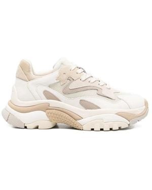 Ash Sneakers - Blanc