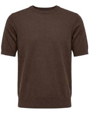 Peserico T-Shirt Aus Reiner Baumwolle - Braun