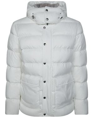 Herno Winter Jackets - Gris