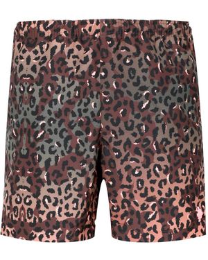 Marcelo Burlon Boxershorts Met Dierenprint - Bruin