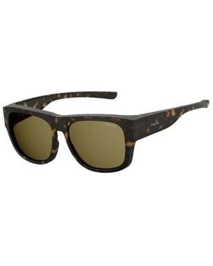 Polaroid Sunglasses - Green