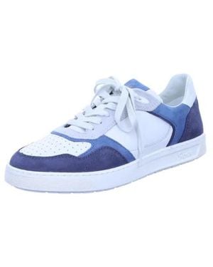 Sioux Lage Sneaker - Blauw