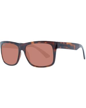 Serengeti Sunglasses - Brown