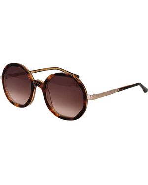 Sandro Brown Sunglasses