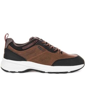 Geox Trainers - Brown