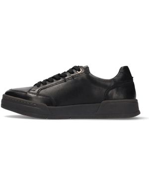Salamander Trainers - Black