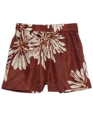 Brunello Cucinelli Short Shorts - Rojo