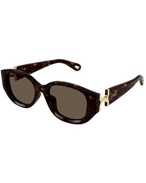 Chloé Sunglasses - Brown
