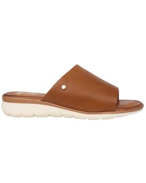 Ara Sliders - Marrone
