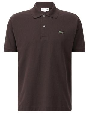 Lacoste Polo Shirts - Marrone